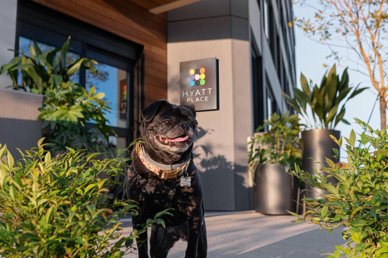 Hyatt Place Atlanta/Perimeter Center ساندي سبرينغز المظهر الخارجي الصورة